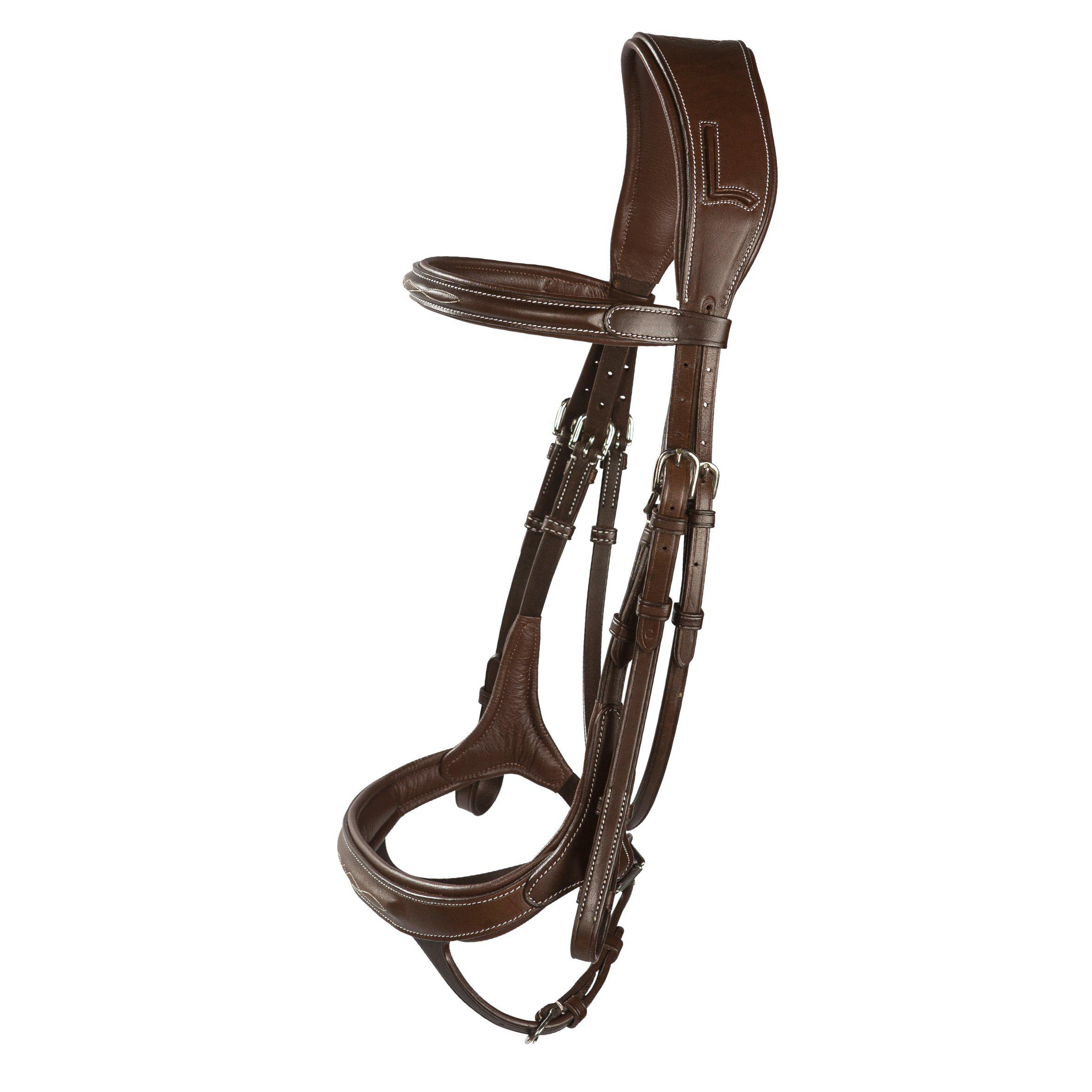 LIPPO SUPREME FAZZINO TRÄNS - 2