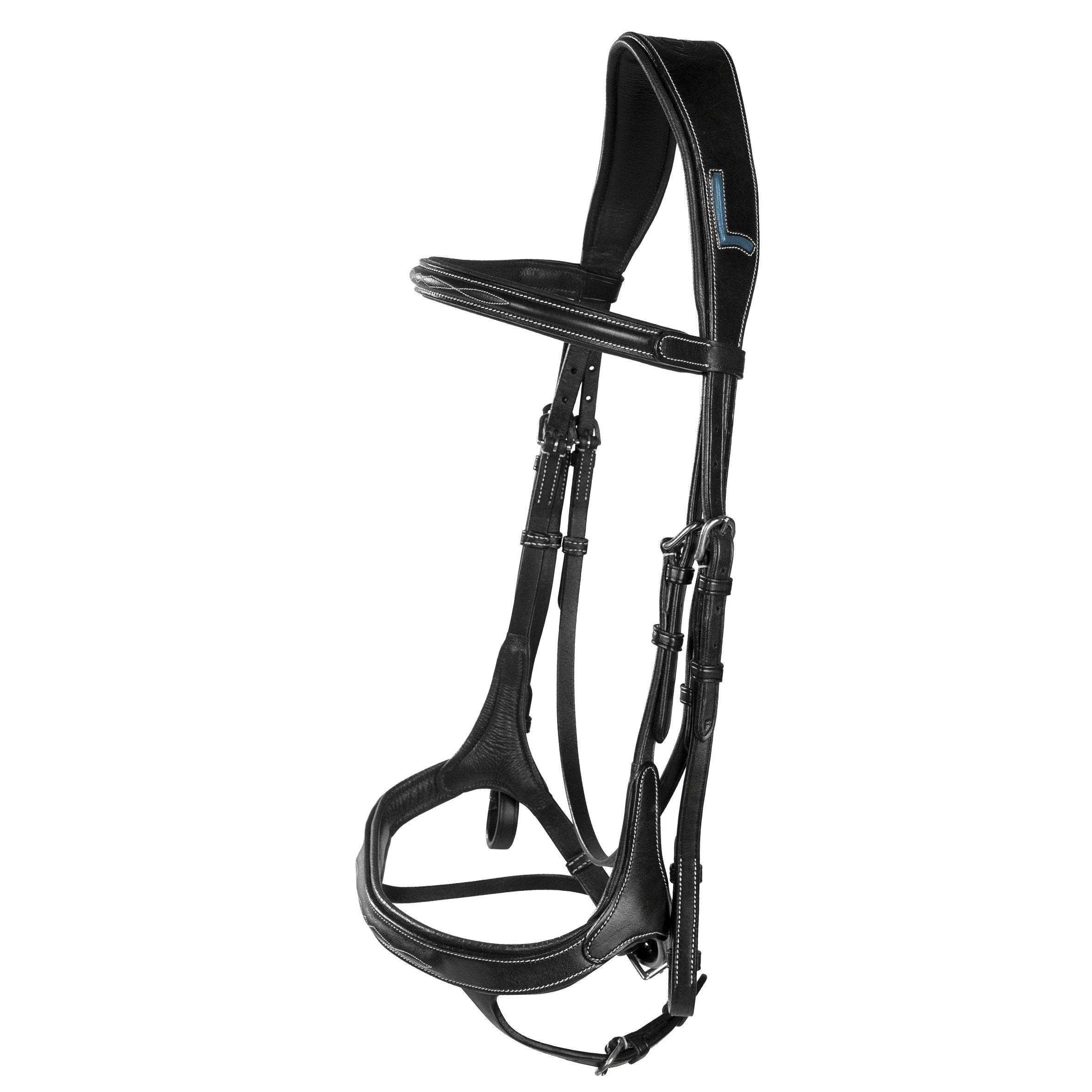 LIPPO SUPREME FAZZINO TRÄNS - 4