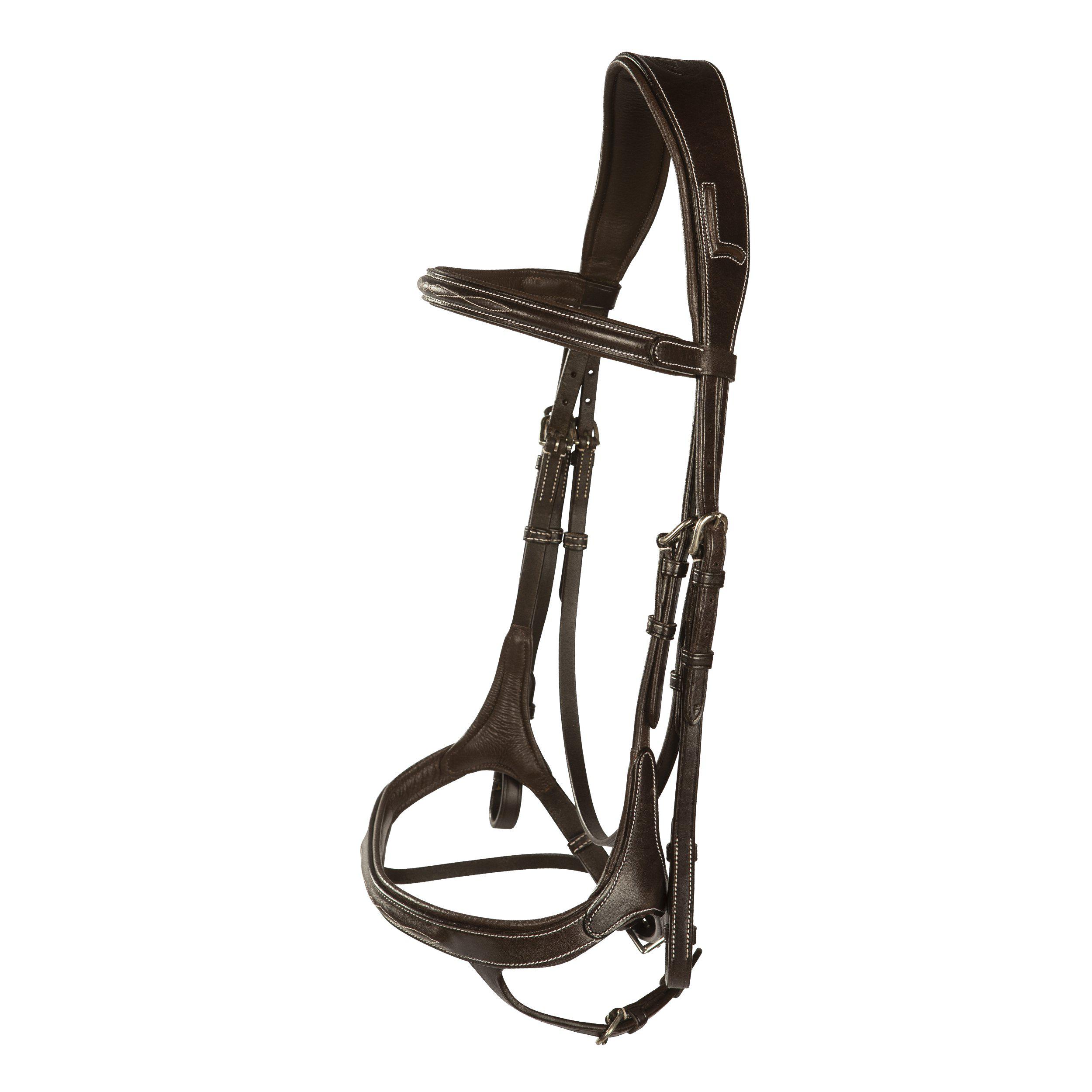 LIPPO SUPREME FAZZINO TRÄNS - 3