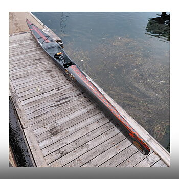 Carbonology Sport Vault X -Full Carbon HC  Beg