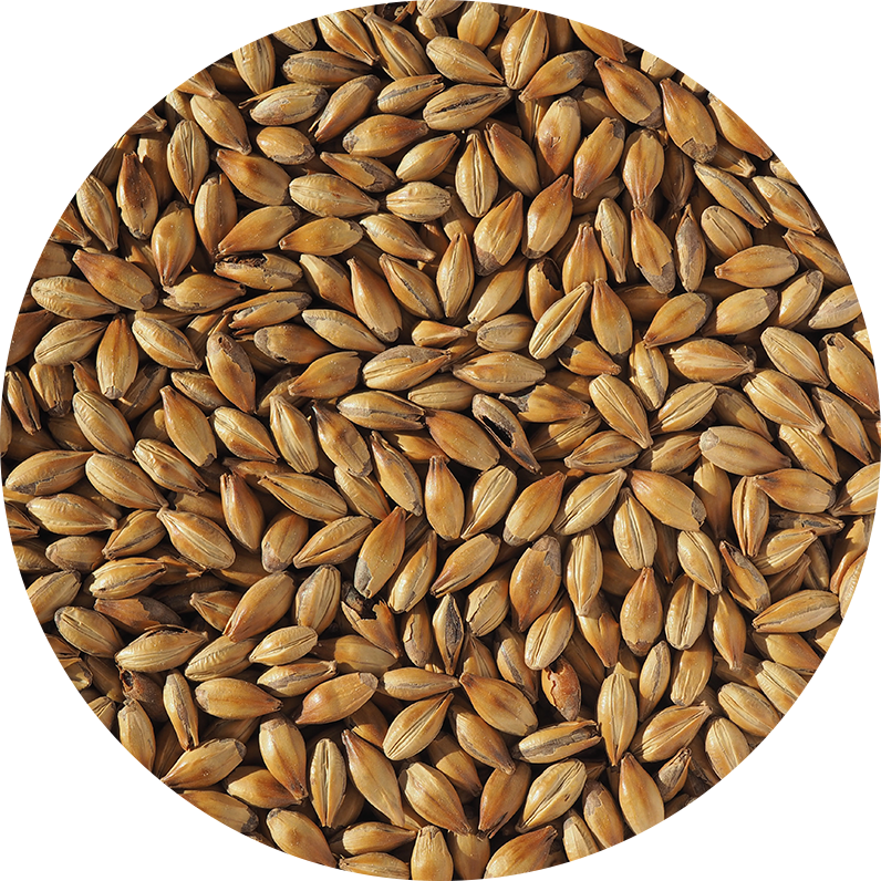 Crystal 100 Crisp, hel malt, 25 kg