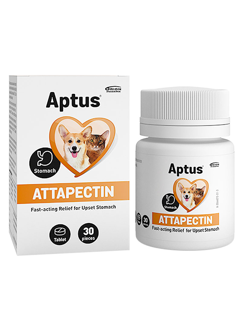 Aptus Attapectin 30 Tabletter 