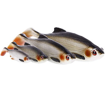 Westin Ricky The Roach Shadtail 18cm/85g