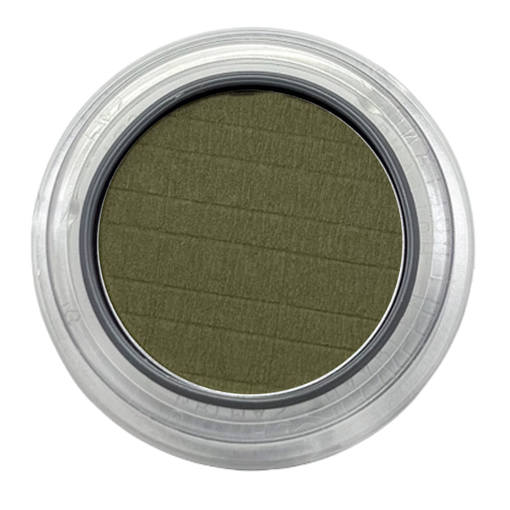 Ögonskugga / Rouge 488 Olive Green - 2 gr
