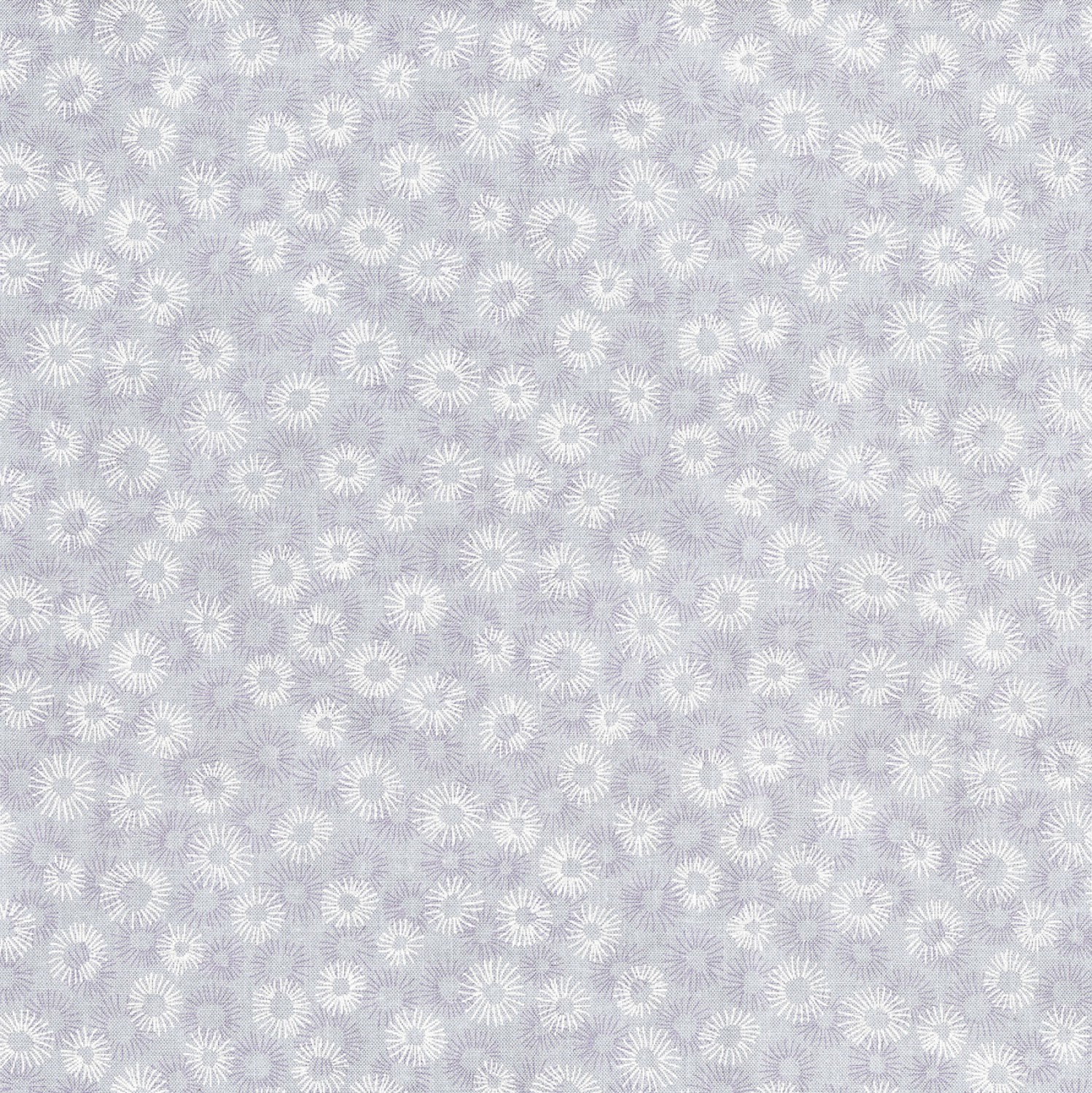 Hopscotch Dandelions Cloud