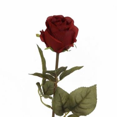 Roskvist Röd, L62