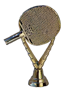 FT 2313G