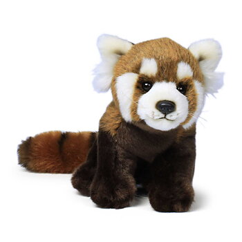 Rød panda med tøjdyr