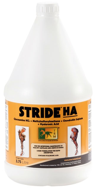 Stride HA 3,75 L