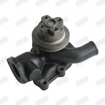 Vattenpump David Brown Cropmaster