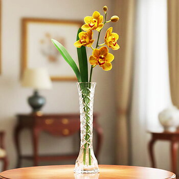 Vas 50x200 orchide