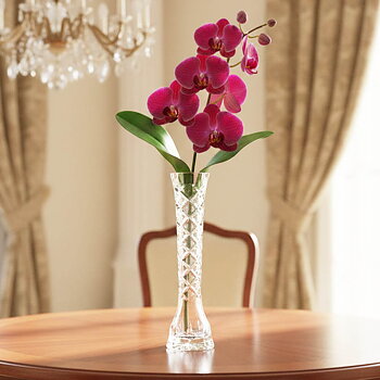 Vas 50x200 orchide