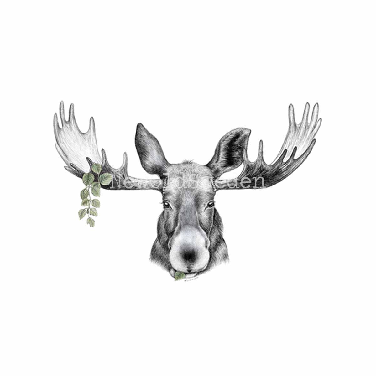 The Forest Prince Vykort - Charlotte Nicolin - 810 - 3