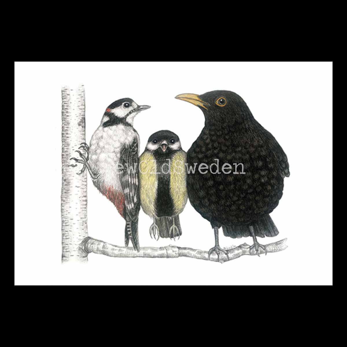 Morning Conversation Vykort - Charlotte Nicolin - 811