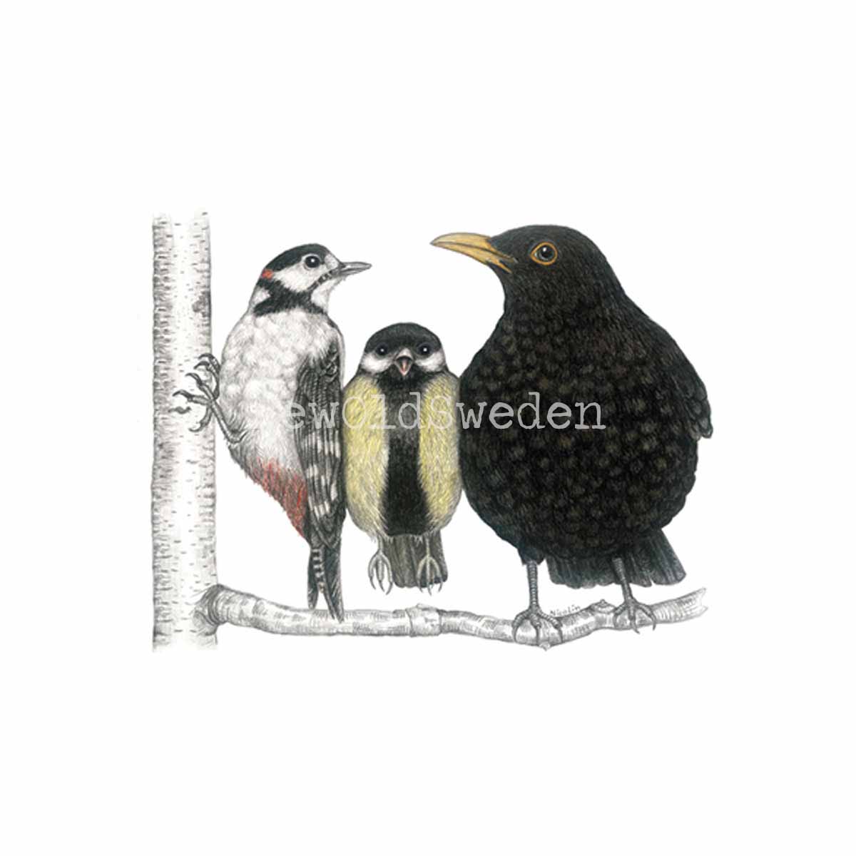 Morning Conversation Vykort - Charlotte Nicolin - 811 - 3