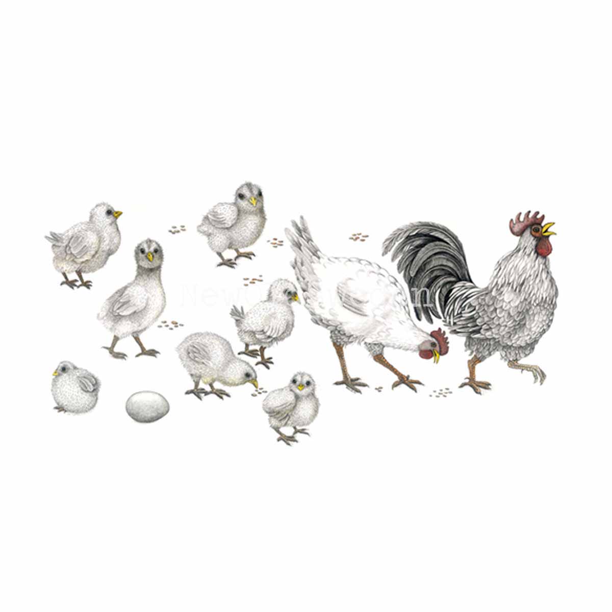 Strolling Vykort - Charlotte Nicolin - 811 - 3