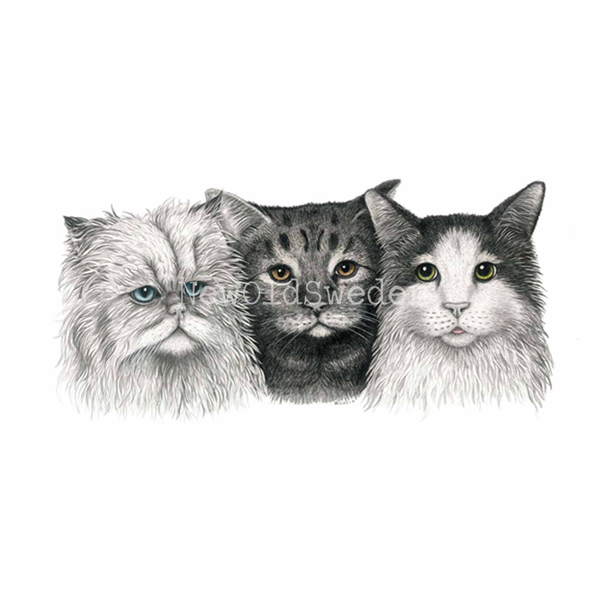 Cats Vykort - Charlotte Nicolin - 811 - 3