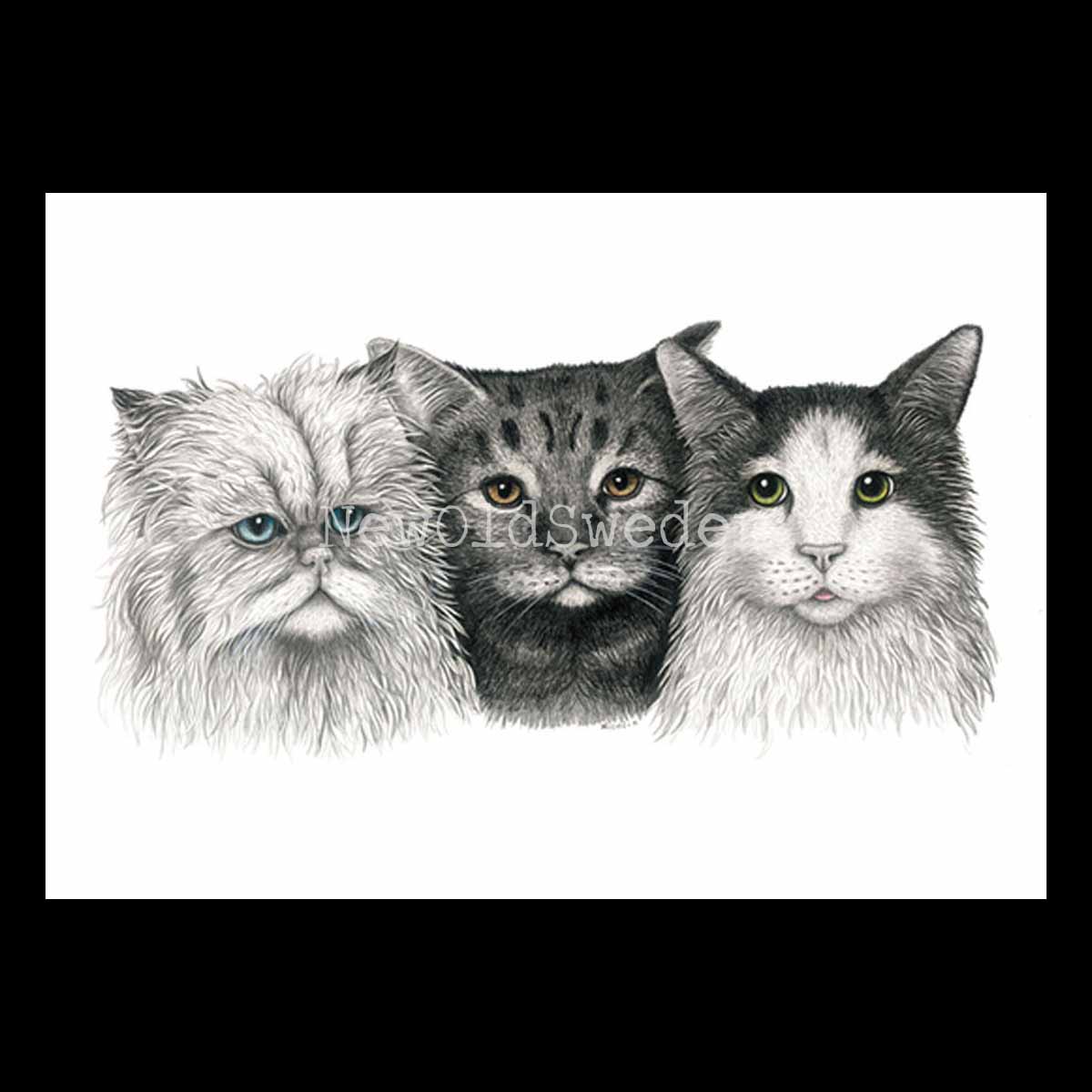 Cats Vykort - Charlotte Nicolin - 811