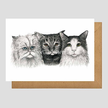 Cats Vykort - Charlotte Nicolin - 811