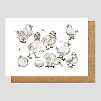 Chicks Vykort - Charlotte Nicolin - 811