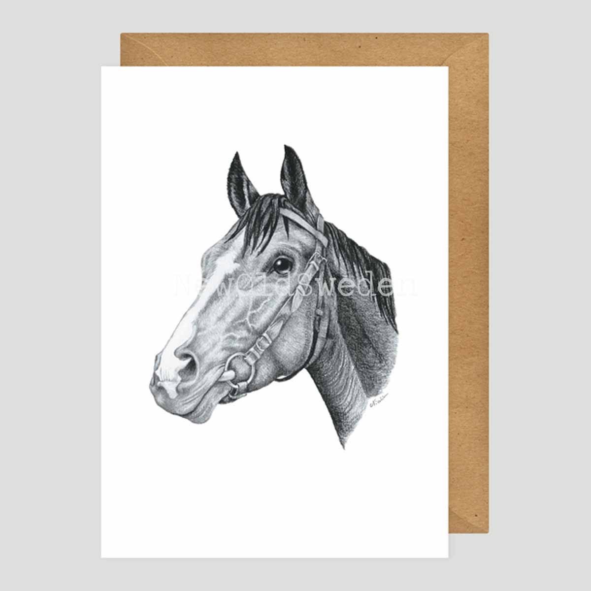 Cheval Vykort - Charlotte Nicolin - 811 - 2