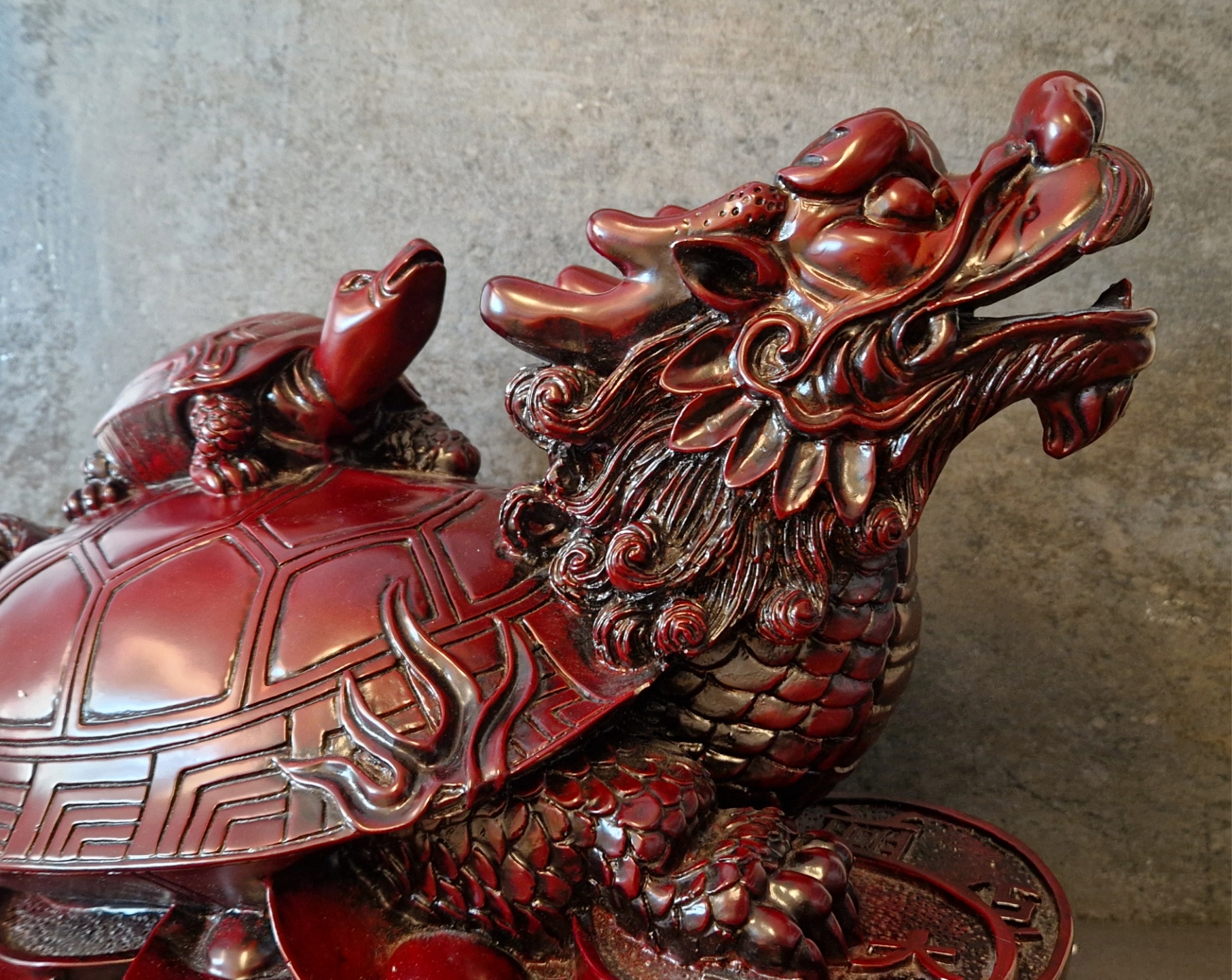Feng Shui Draksköldpadda - XXL - 3