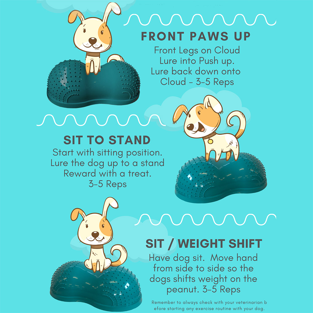 FlexiPaws Cloud - 6