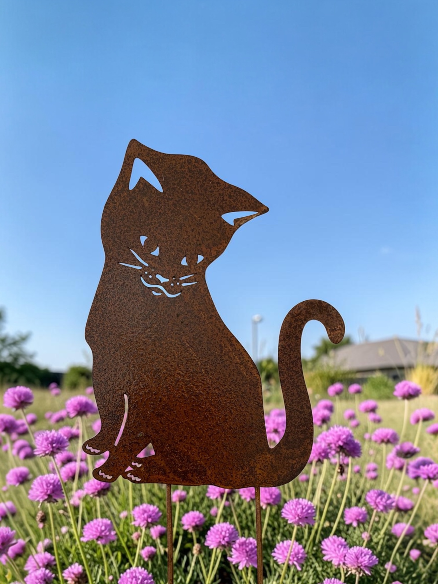 Katt Tussie sittande/8 ST PER FÖRP
