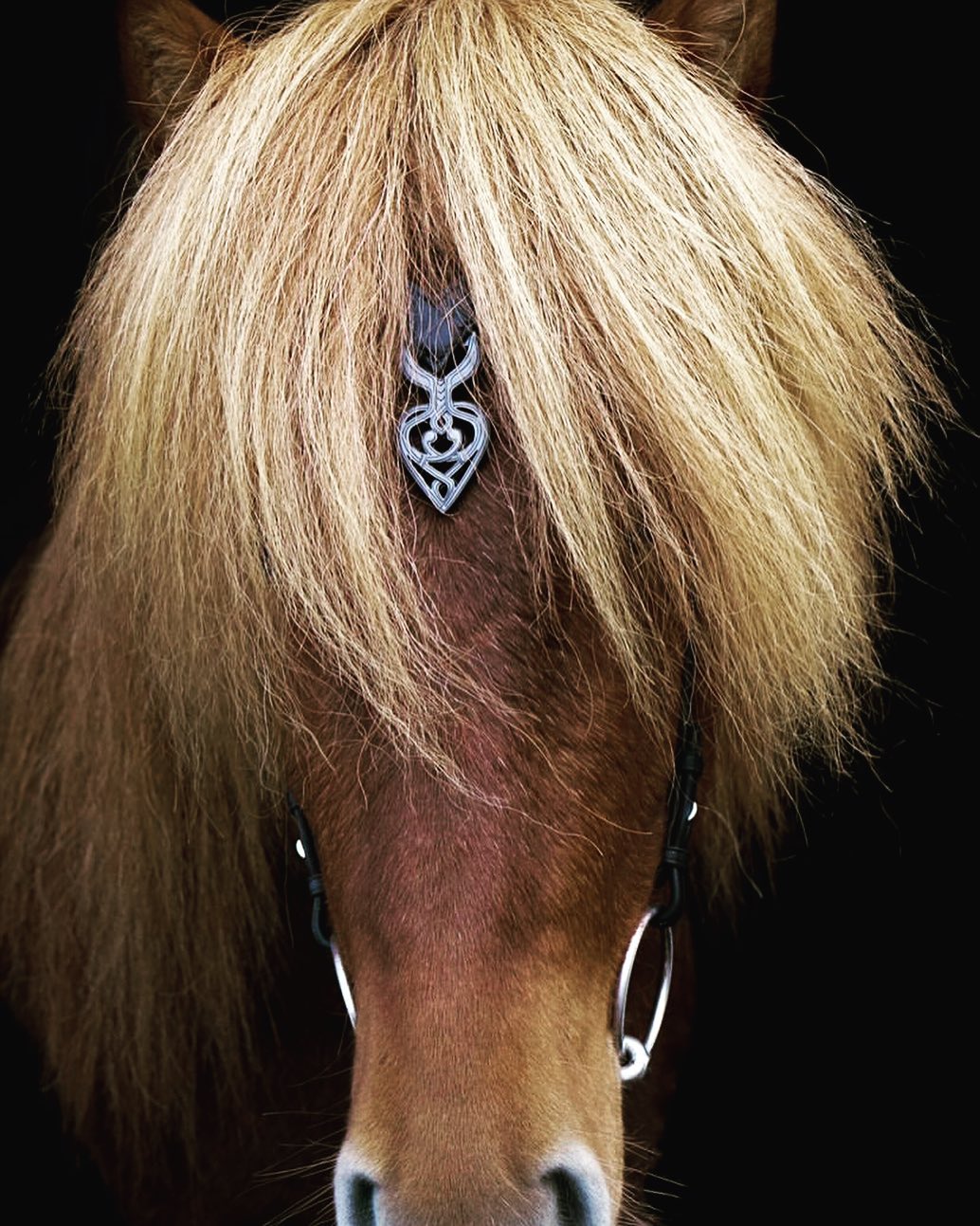Hugrun Ennislauf Sleipnir huvudlag med flätat V-panband - 3