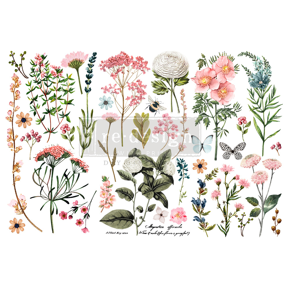 Transfer- Botanical Paradise