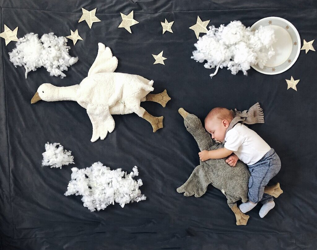 Senger Naturwelt Stor Gås Gosedjur med Värmekudde Grå Cuddly - 8