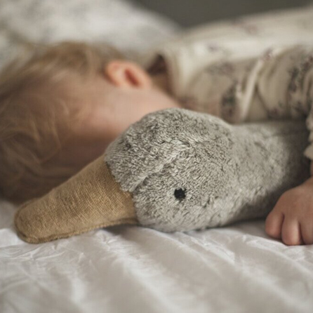 Senger Naturwelt Stor Gås Gosedjur med Värmekudde Grå Cuddly - 5