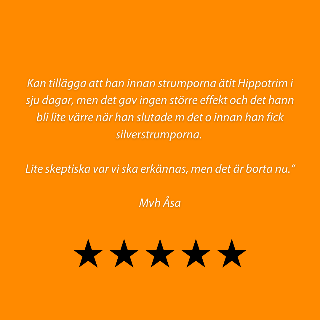 Silver Whinnys – sølvstrømper 4-pak - 11