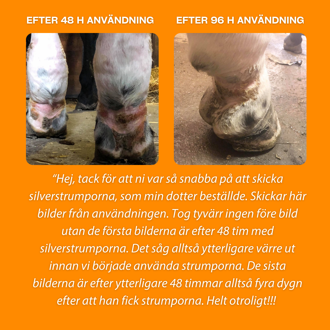 Silver Whinnys – sølvstrømper 4-pak - 10
