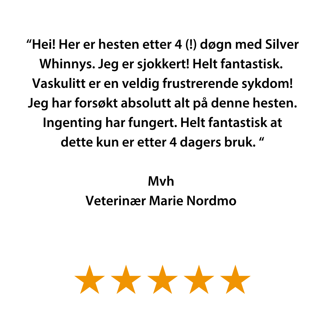 Silver Whinnys – sølvstrømper 4-pak - 2