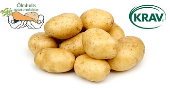 KRAV tvättad fast potatis 5 kg, Ölmhult. 