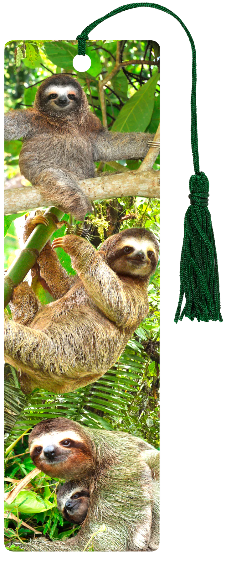 3D Bookmark Sloths