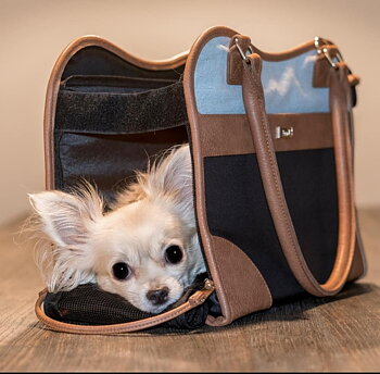 InnoPet® Traveller Urban - Svart/brun/blå