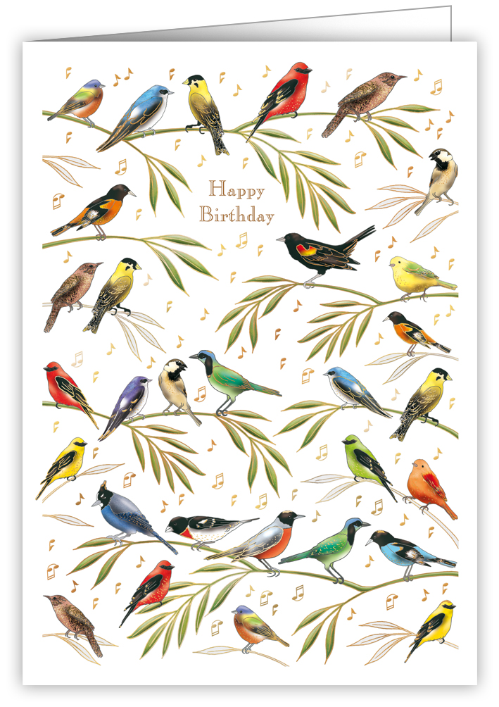 Birds Singing, Mac Classic