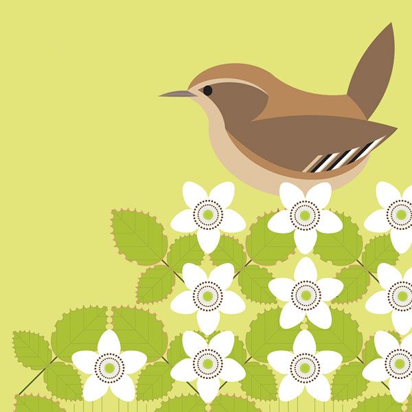 Wren, Everyday Single Card