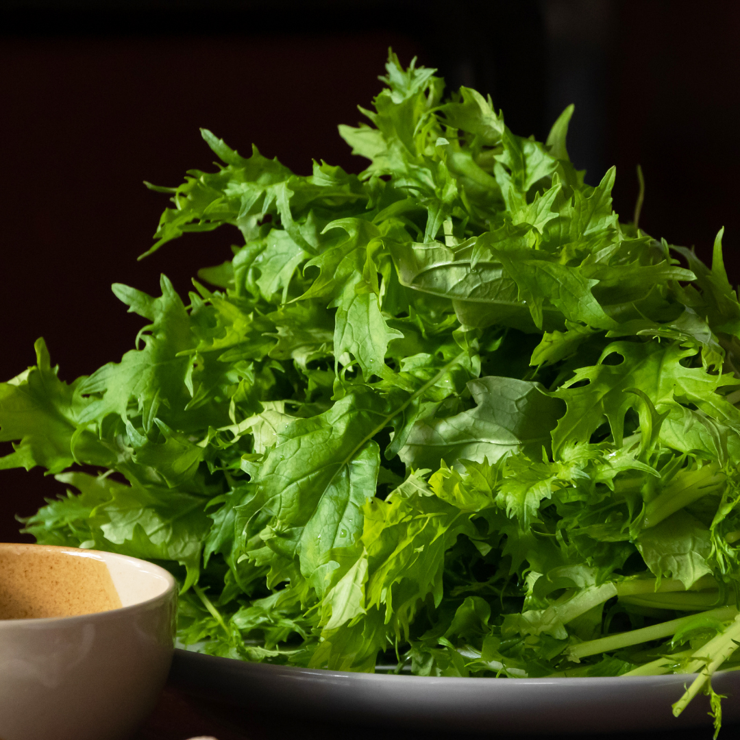 Namenia - Japansk Kål