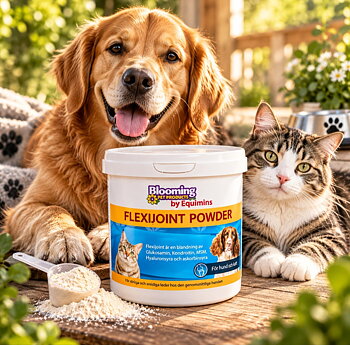  Bloomingpets Flexi joint pulver 300 g 