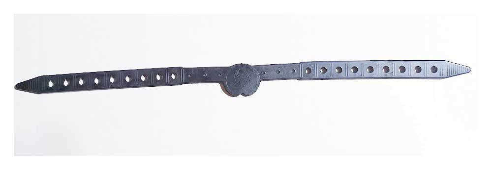 Explora Elastic fastening  strap 