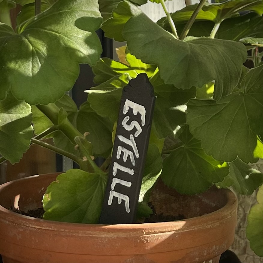 Planteskilt Noir - 2
