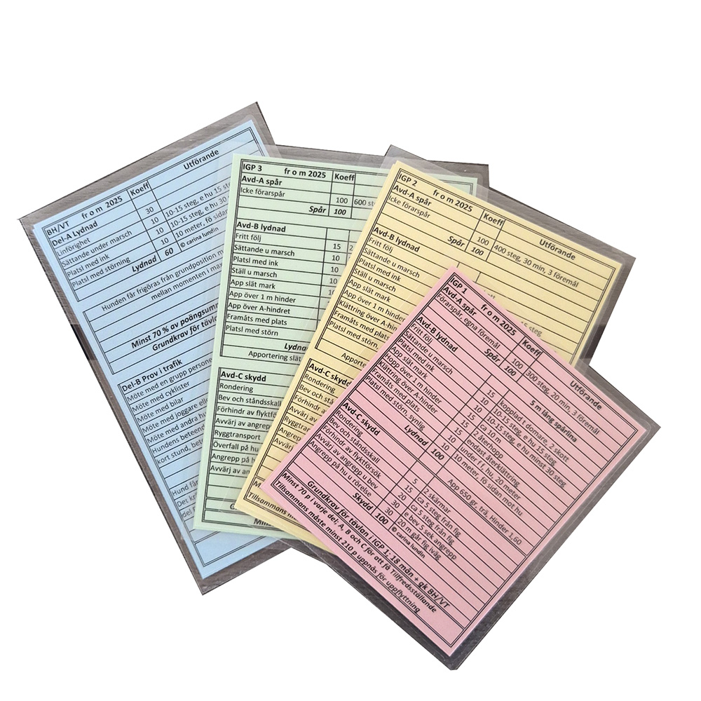 IGP notes 2023