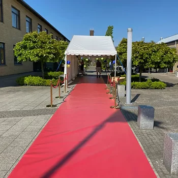 Partytält 8x3m