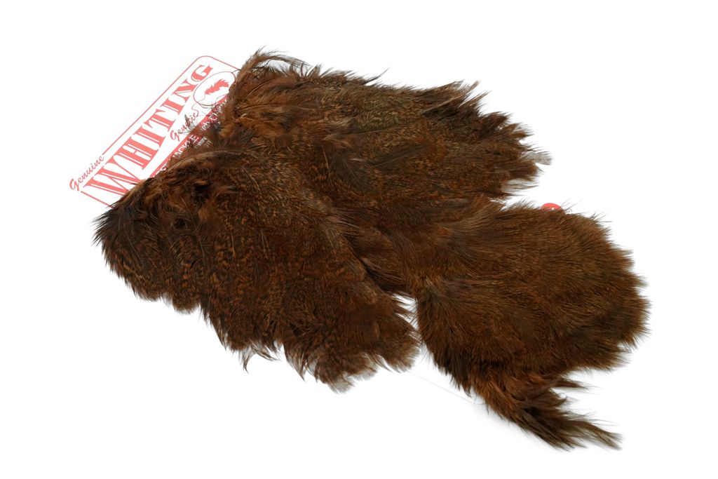 Whiting Coq De Leon Hen Soft Hackle With Chicabou - 12
