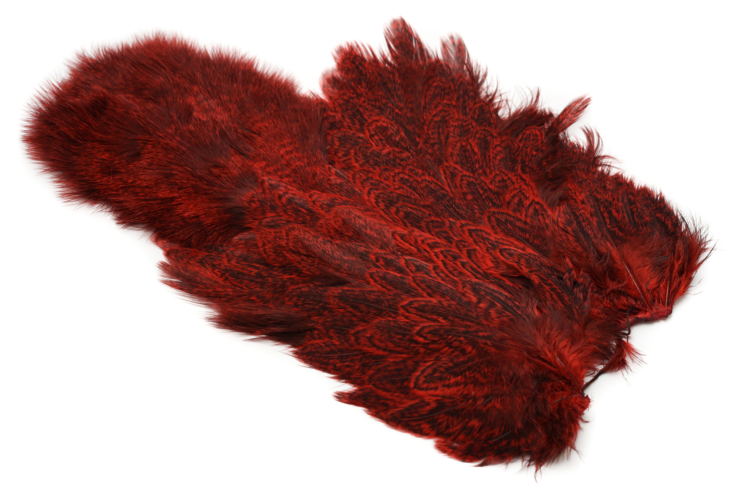 Whiting Coq De Leon Hen Soft Hackle With Chicabou - 11