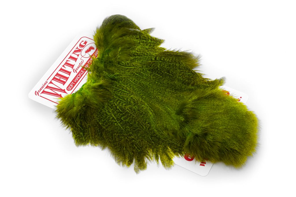 Whiting Coq De Leon Hen Soft Hackle With Chicabou - 14