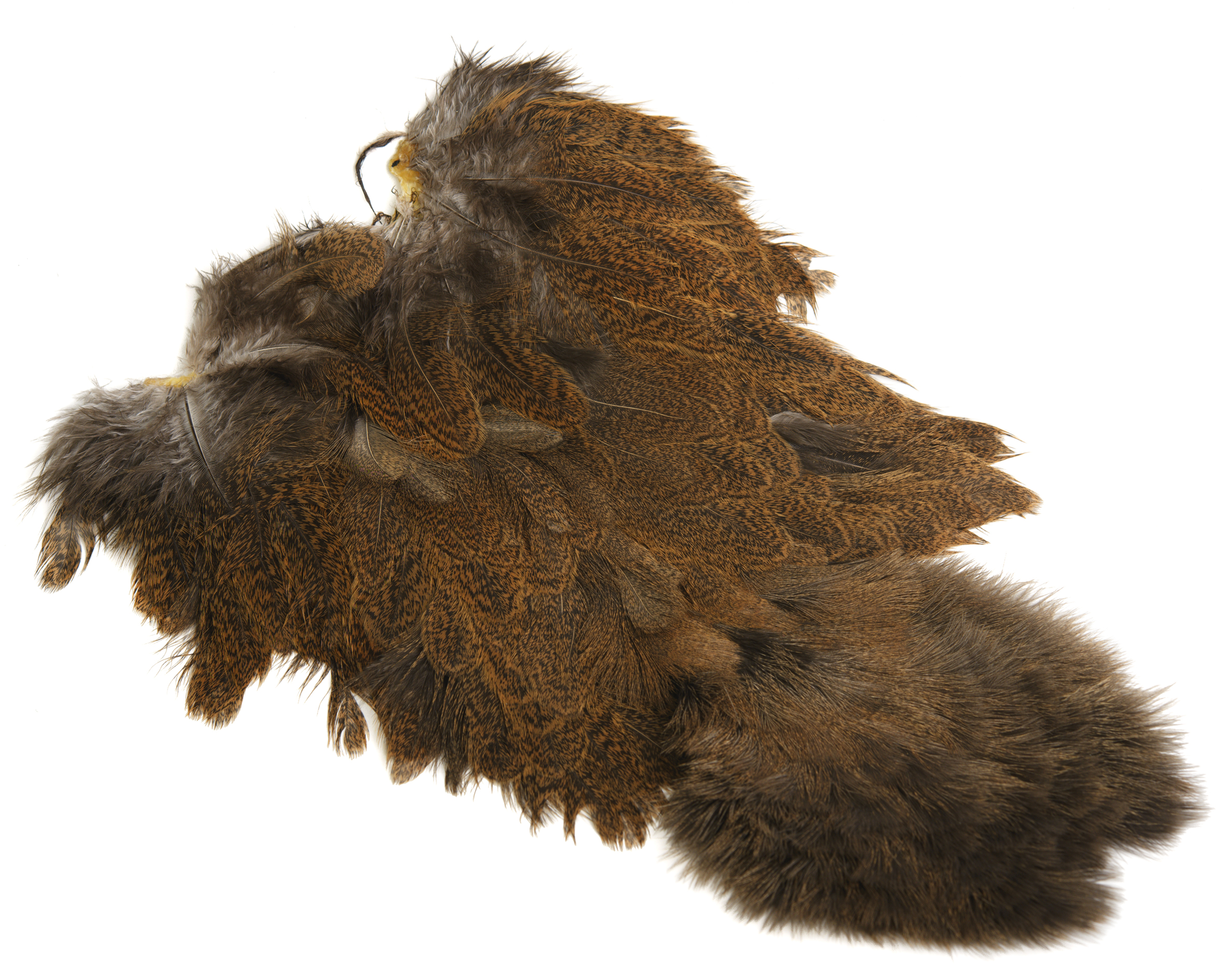 Whiting Coq De Leon Hen Soft Hackle With Chicabou - 10